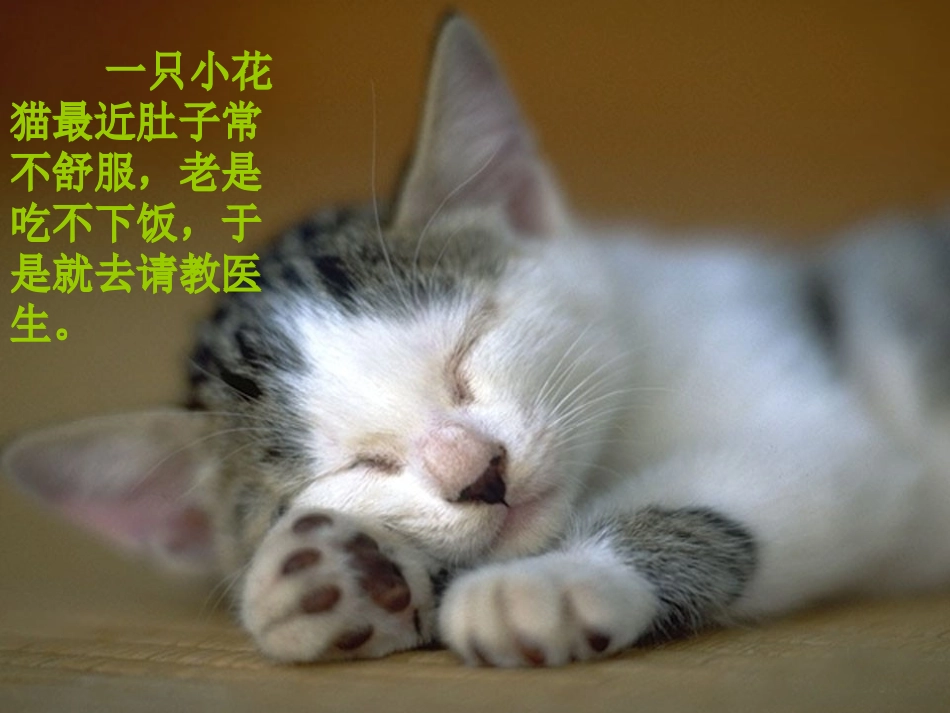 培智卫生教育主题四年级语文课《洗手的学问》_第2页