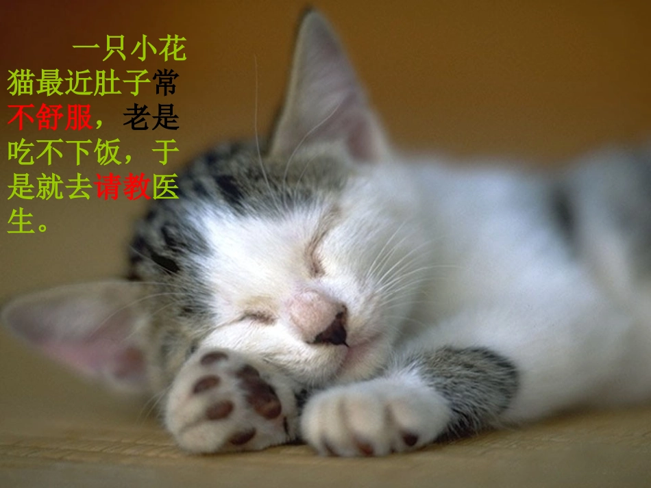 培智卫生教育主题四年级语文课《洗手的学问》_第3页