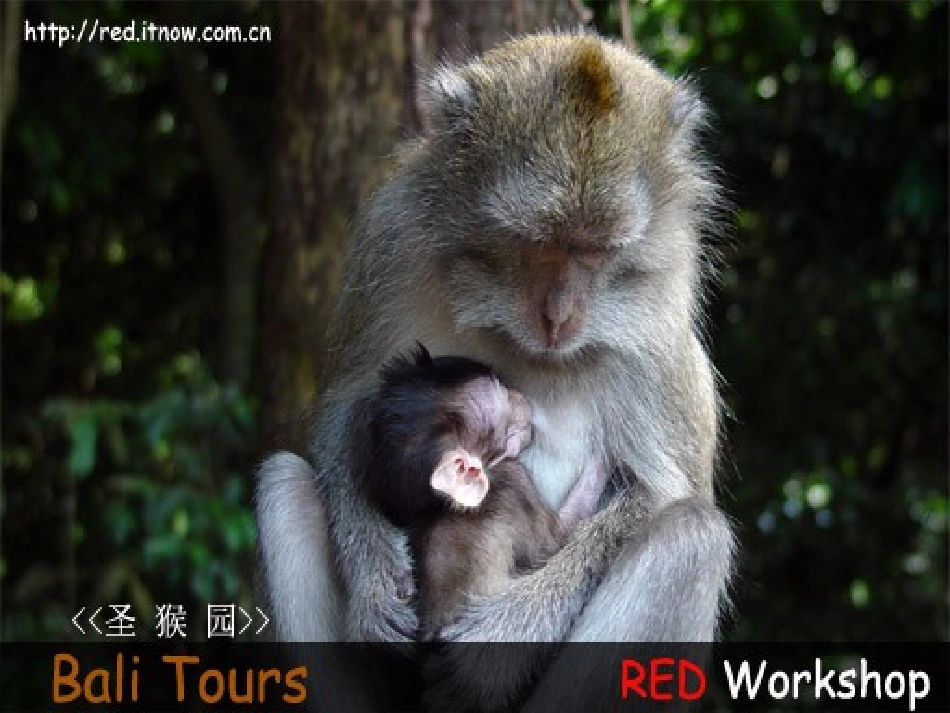 我的母亲 (2)_第3页