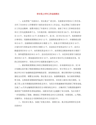 审计局上半年工作总结例文
