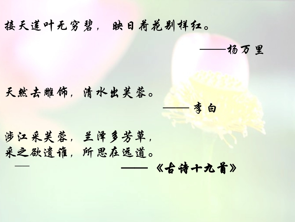 爱莲说 (3)_第1页