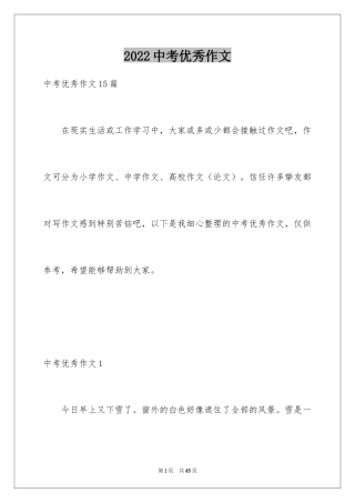 2024中考优秀作文_178