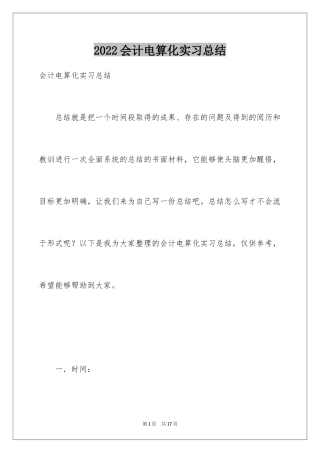 2024会计电算化实习总结