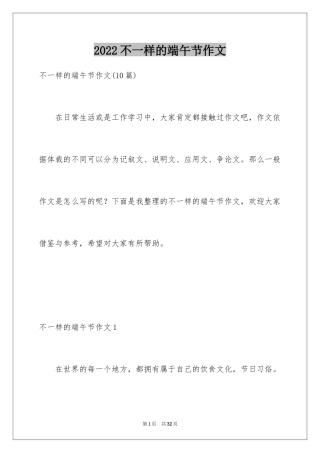 2024不一样的端午节作文