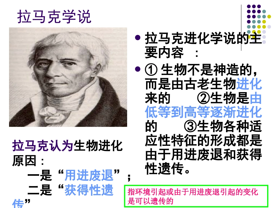 现代生物进化理论的由来_课件_第3页