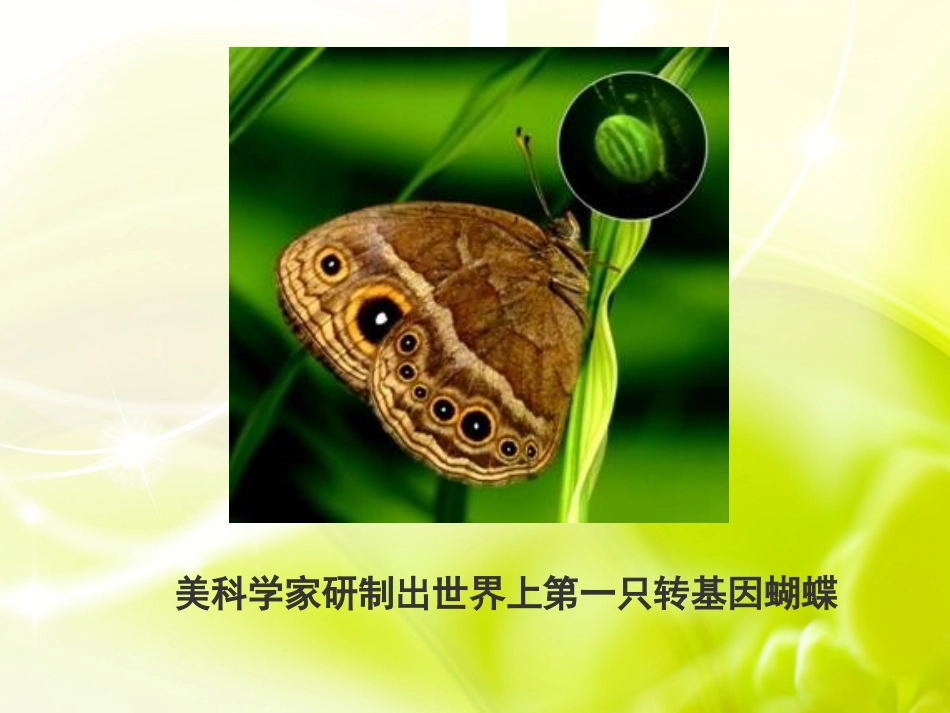 使用33基因是具有遗传效应的DNA片段-副本(2)_第3页