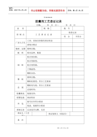 胶囊剂工艺查证记录(技术科)