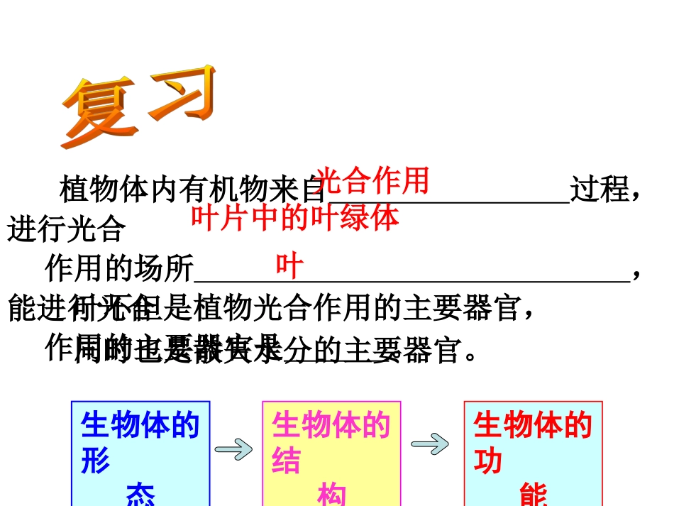 第5节植物的叶与蒸腾作用_第2页