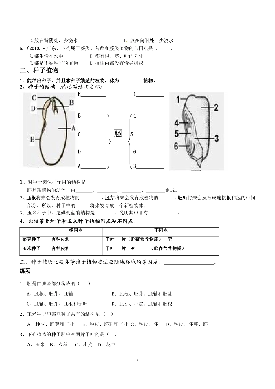 专题三植物的一生_第2页