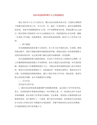 2020年业务员年终个人工作总结范文