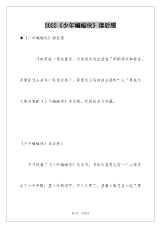 2024《少年蝙蝠侠》读后感