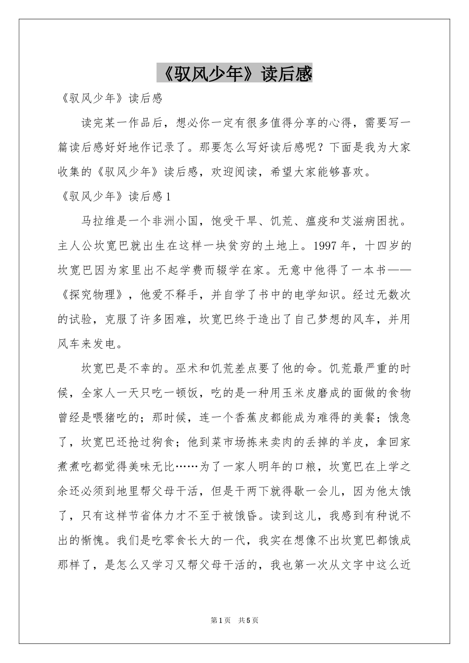 《驭风少年》读后感_第1页