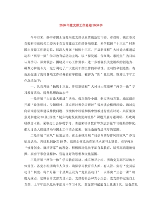 2020年党支部工作总结3000字
