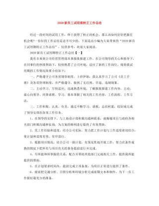 新员工试用期转正工作总结