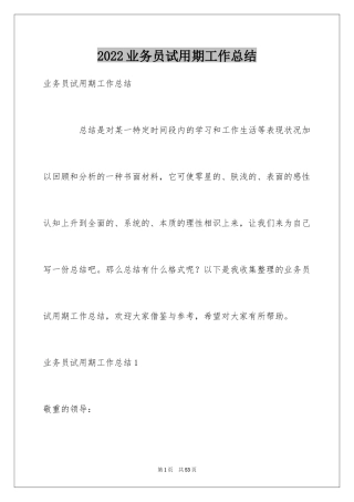 2024业务员试用期工作总结_15