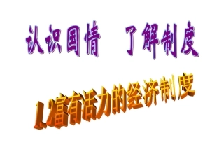 富有活力的经济制度--公有制
