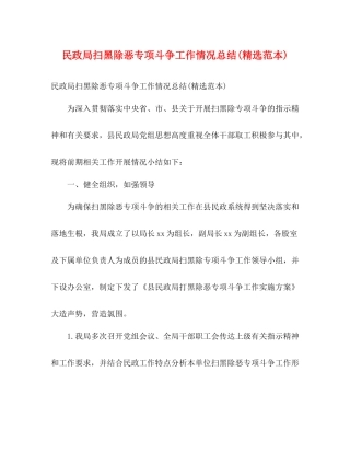 民政局扫黑除恶专项斗争工作情况总结精选范本)2)
