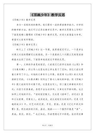 《顶碗少年》教学反思