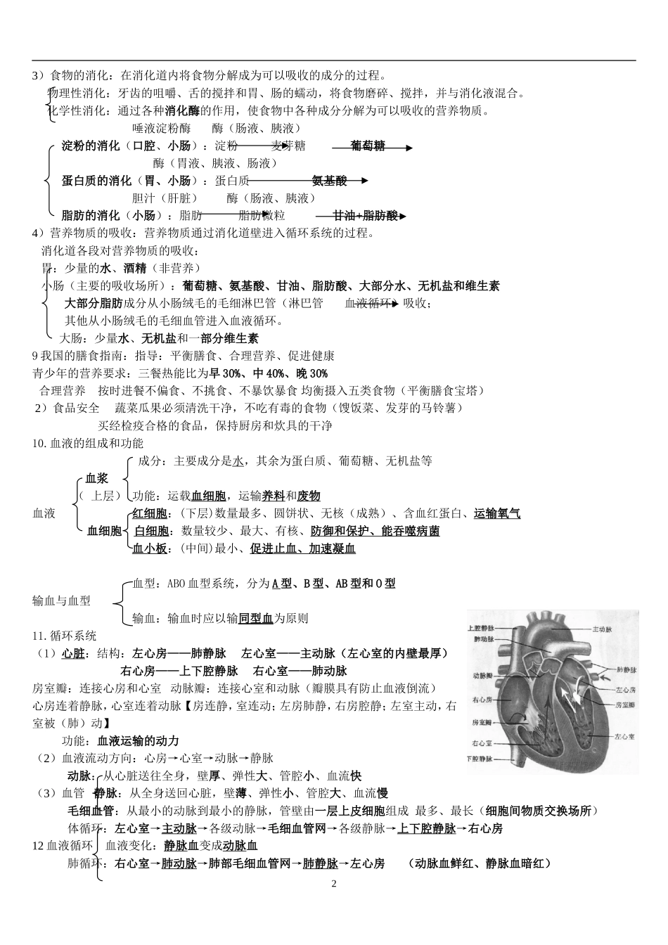 七年级下册苏教版生物复习提纲_第2页