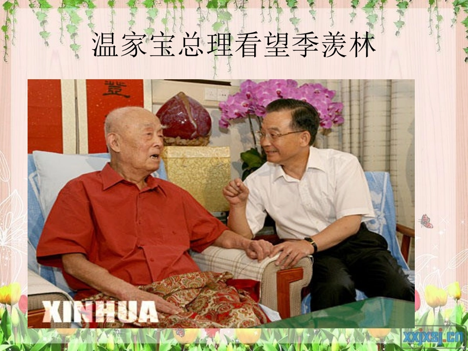 《夹竹桃》课件PPT_第2页