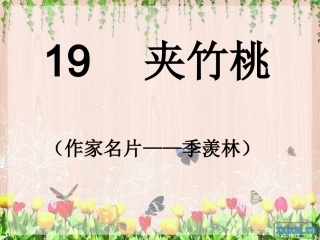 《夹竹桃》课件PPT