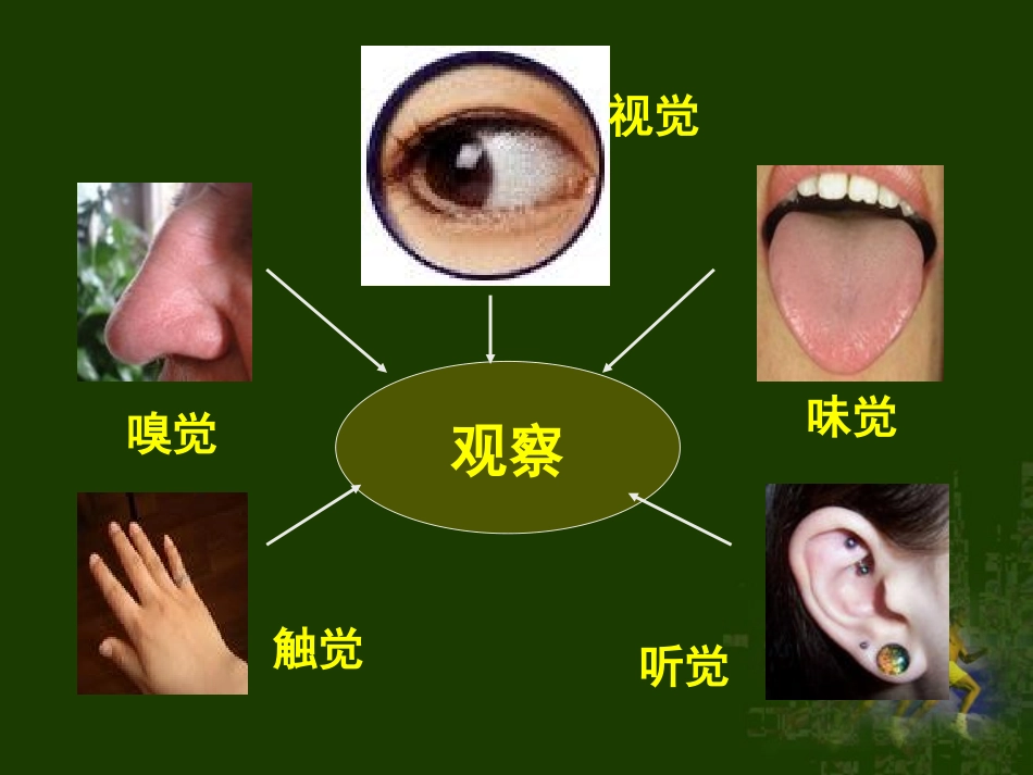 人体对外界环境的感知(完整)吕中肖鹏_第3页