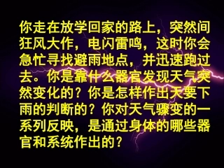 人体对外界环境的感知(完整)吕中肖鹏