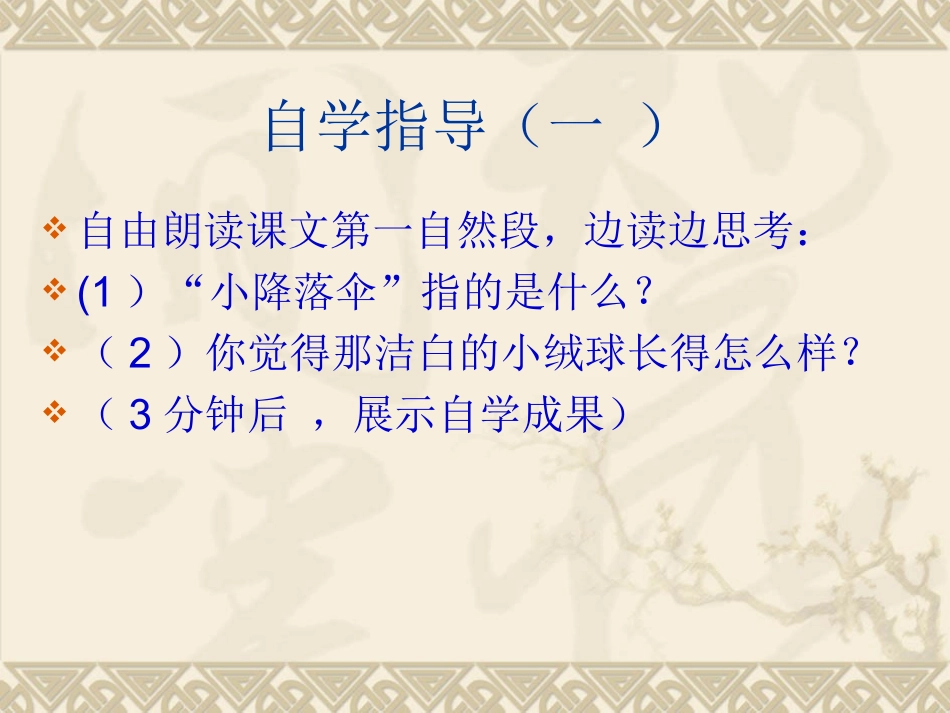 《蒲公英》PPT课件(1)_第3页