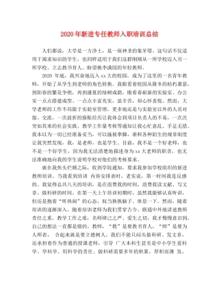 2020年新进专任教师入职培训总结 