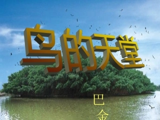《鸟的天堂》教学课件