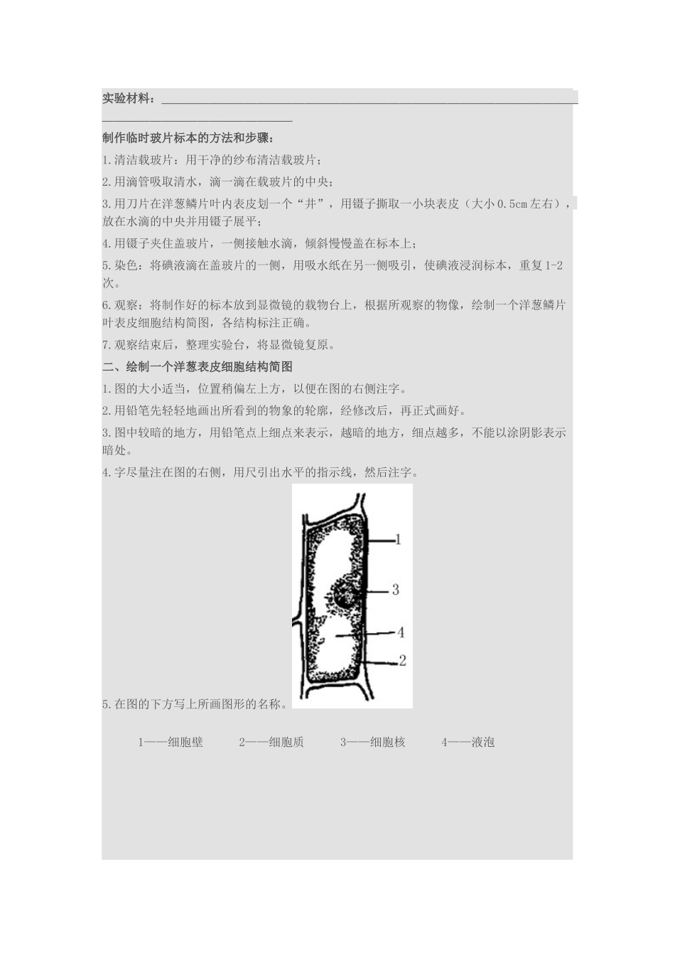 洋葱表皮细胞实验_第2页