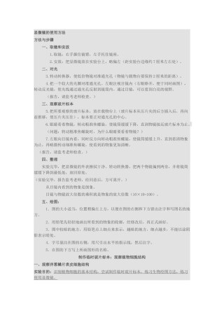 洋葱表皮细胞实验