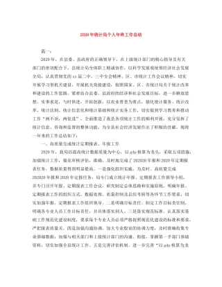 2020年统计局个人年终工作总结