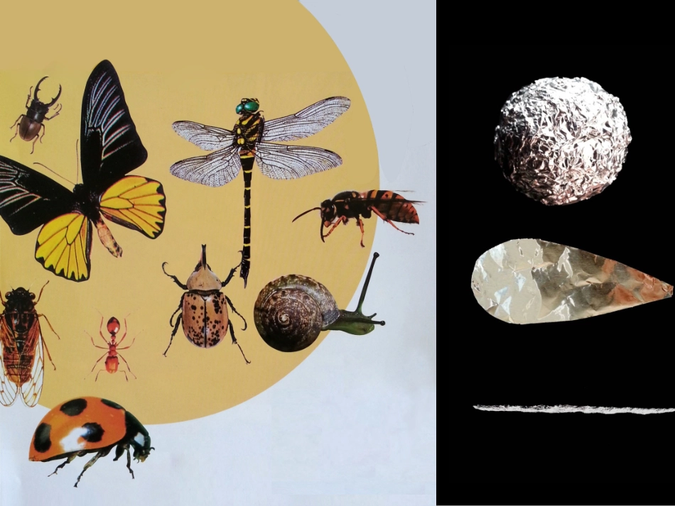 虫虫大聚会-副本_第3页