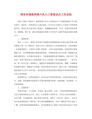 两实有调查和第六次人口普查试点工作总结