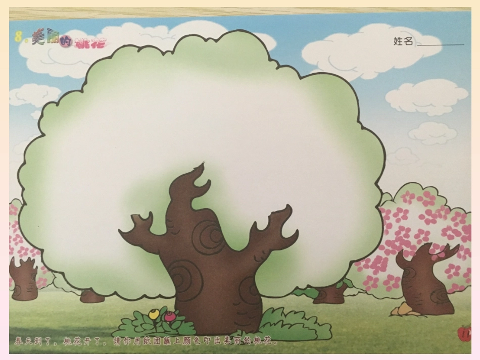 美丽的桃花课件_第3页