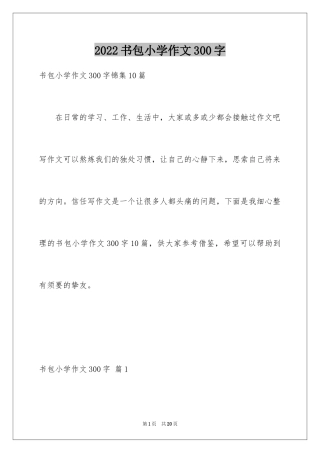 2024书包小学作文300字
