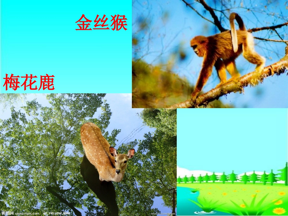 《比本领》课件_第3页