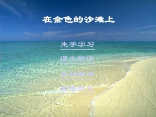 在金色的海滩上
