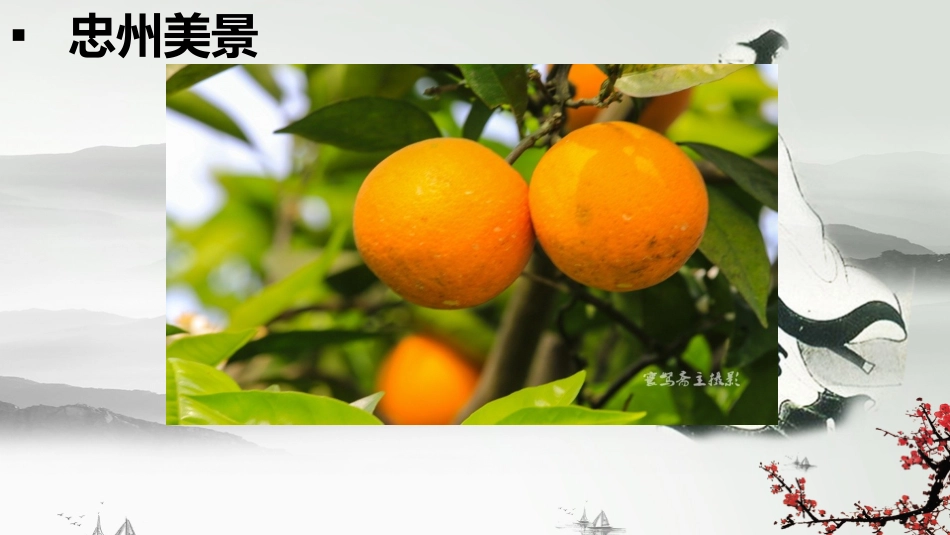 最美忠州毛昌于_第3页