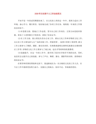 2020年文化馆个人工作总结范文 