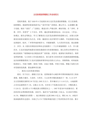 主任助理挂职锻炼工作总结范文