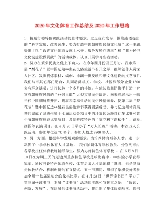 2020年文化体育工作总结及2020年工作思路 
