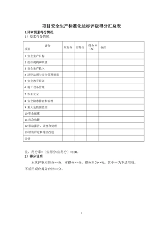 项目安全生产标准化达标评级得分汇总表