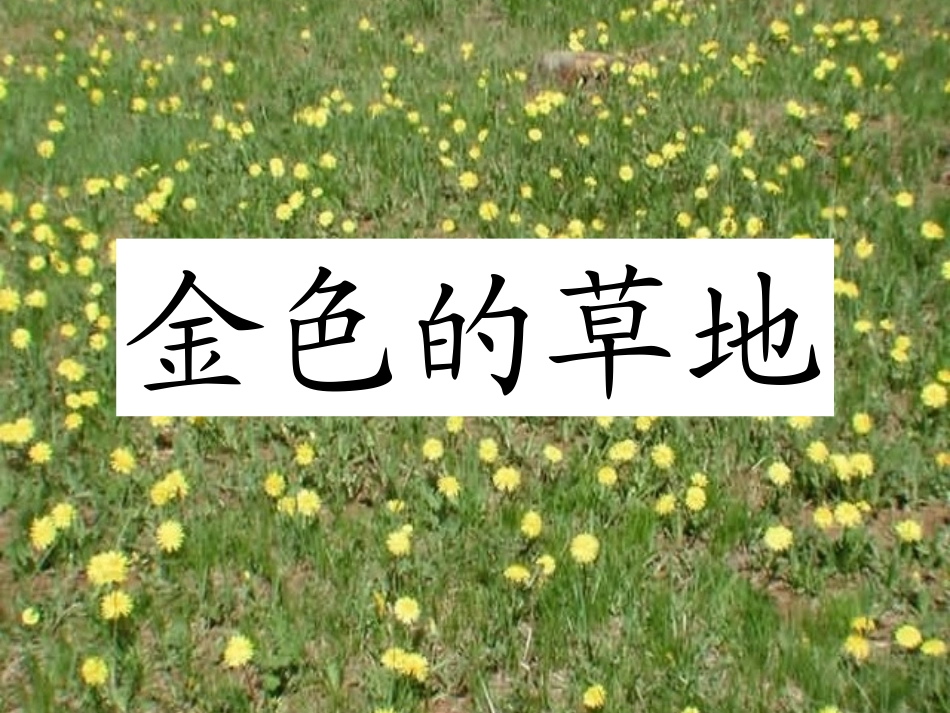 金色的草地 (3)_第2页