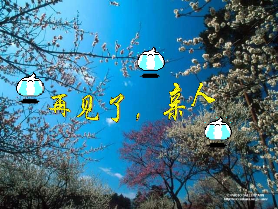 《再见了，亲人》课件PPT_第1页