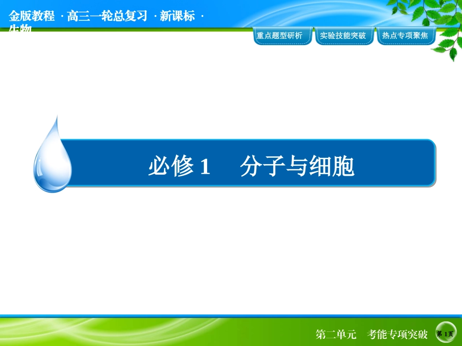 考能专项突破2_第1页