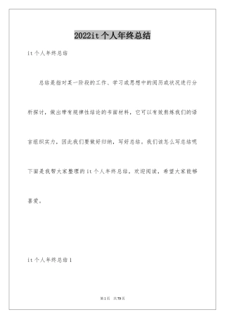 2024it个人年终总结