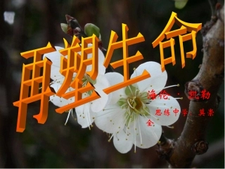 再塑生命莫崇全