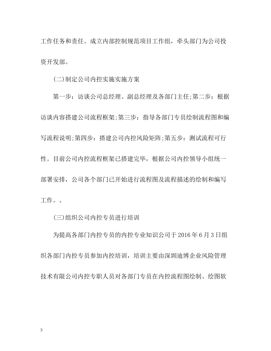 内部控制工作总结报告_第3页